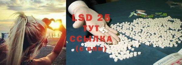 дживик Володарск