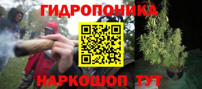 амф Берёзовский