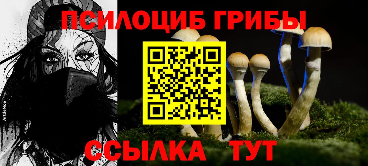 Кызыл  Галлюциногенные грибы ЛСД  Вход с VPN 