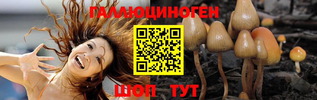 Псилоцибиновые грибы мухоморы Кызыл